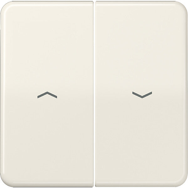 JUNG Wippe Symbole ws für Taster CD 595 P